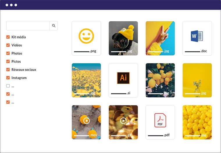 Digital asset management